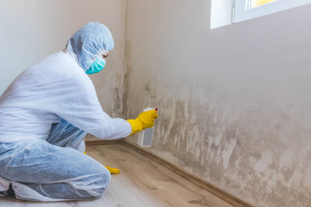 Licensed Mold Testing service in Howell, NJ - WQB Mold Removal