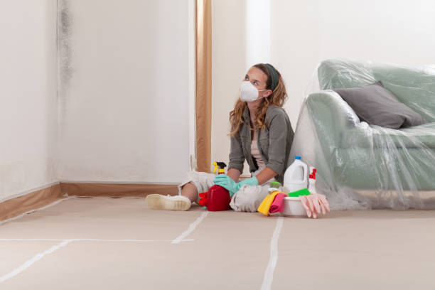 Reliable Mold Testing contractor in Howell, NJ by WQB Mold Removal